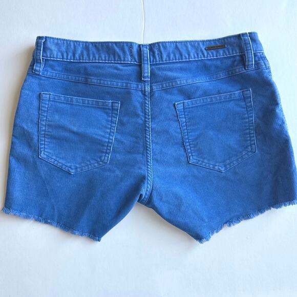 Carve Designs Blue Women's Shorts - Picture 3 of 8